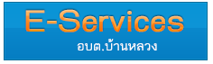 E-services